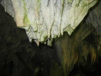 IMG_5408.JPG