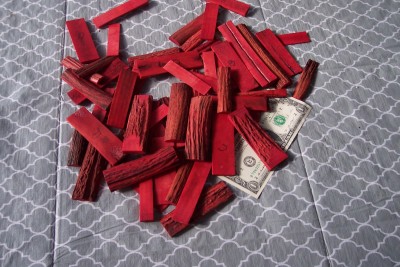 Dyed Scarlet Sambar