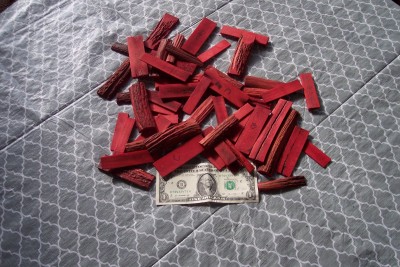 Dyed Scarlet Sambar