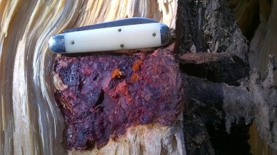 WP_20180508_005.jpg