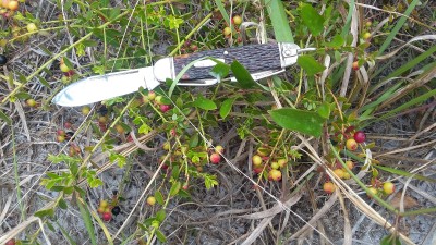 20180508_164400.jpg