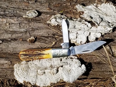 20180509_101716.jpg