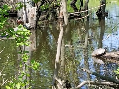 20180509_100921.jpg