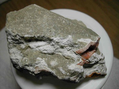 DSCN4435.jpg