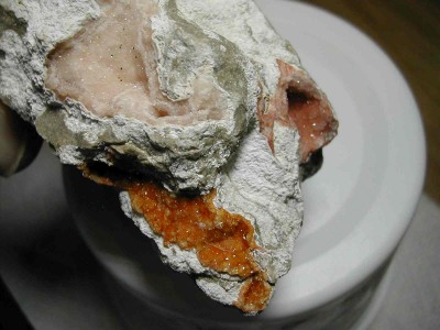 DSCN4437.jpg