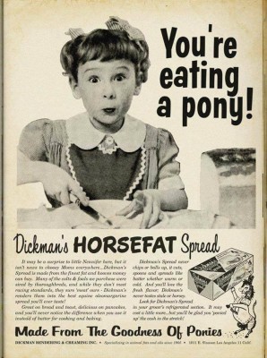 horse.jpg