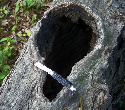Imperial rope knife on a hollow log.JPG