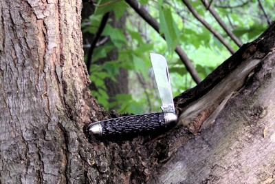Imperial rope knife in a tree.JPG.JPG