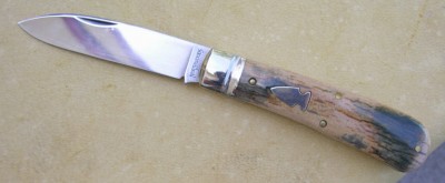 mammoth zulu 003.jpg