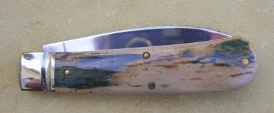 mammoth zulu 002.jpg