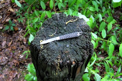 LK Boy's Knife on a wet morning.JPG