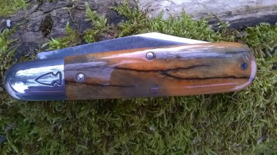 WP_20180319_072.jpg