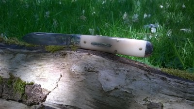 WP_20180516_013.jpg