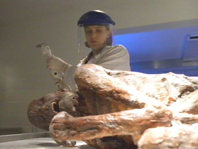 ms4x20scully-ld032.jpg
