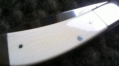 WP_20180517_002.jpg