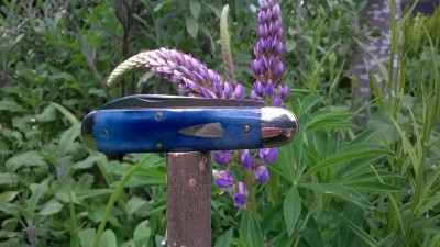 WP_20180517_042.jpg