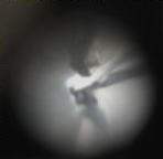 Peters Bros. Stanhope Image.png