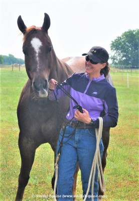 the-horses-of-soulful-equine-ransom.jpeg