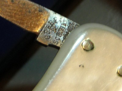DSCN7146.JPG