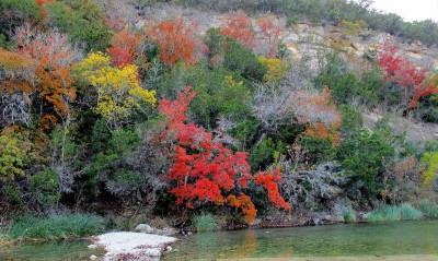 Lost Maples State Park