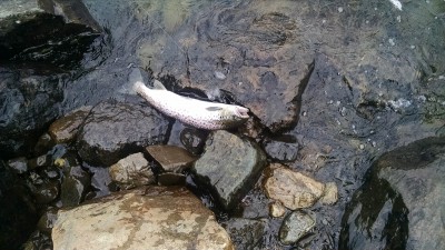 IMG_20180528_093506809.jpg