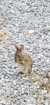 20180529_063809.jpg