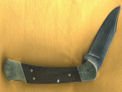 img910.jpg