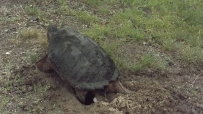 DSCF3038.JPG