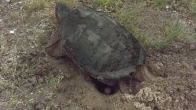 DSCF3045.JPG