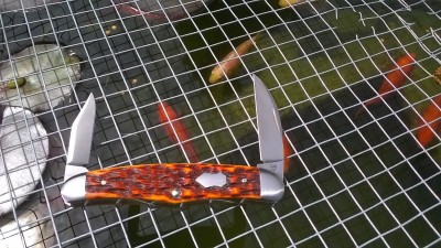WP_20180602_008.jpg