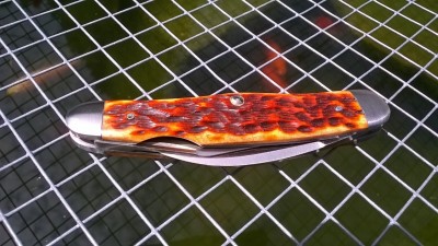 WP_20180602_018.jpg