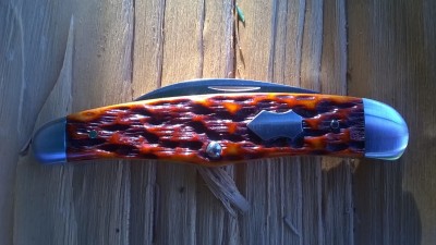 WP_20180602_083.jpg
