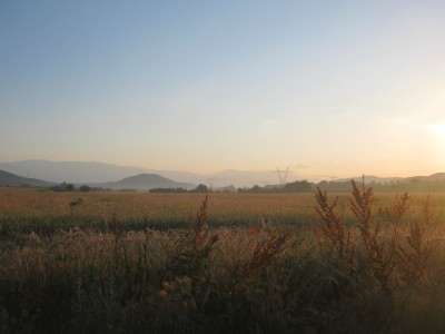 IMG_5454.JPG