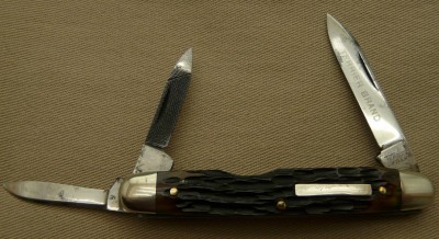 TerrierWhittler2.jpg