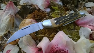 WP_20180523_066.jpg