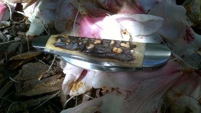 WP_20180523_075.jpg