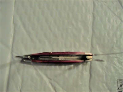 DSC00005 (2).JPG