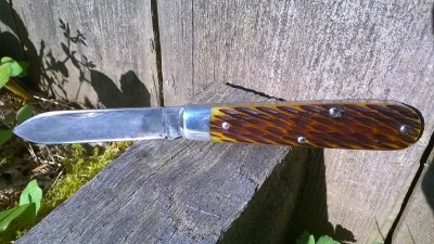 WP_20180604_061.jpg