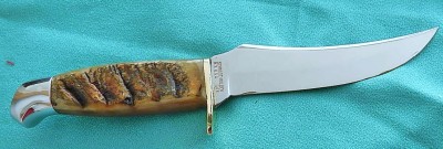 148 RAMS HORN.JPG