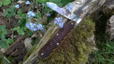 WP_20180604_012.jpg