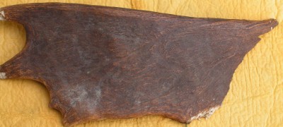 PICT0013.JPG
