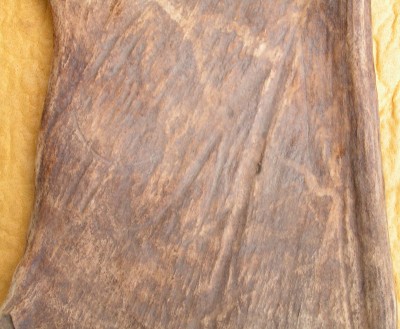 PICT0019.JPG