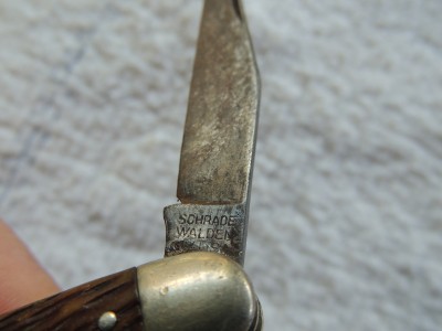 DSCN4500.JPG