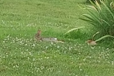 20180612_190234.jpg