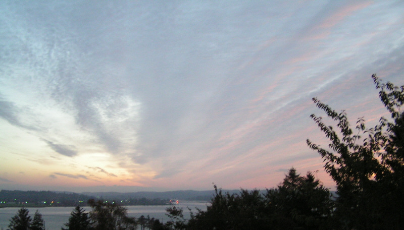 PICT0005.JPG