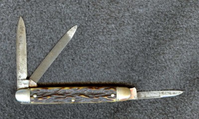 stag Senator002.jpg