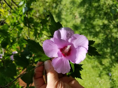 20180617_123537.jpg