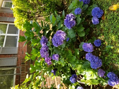 20180617_123305.jpg