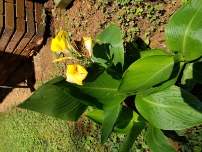 20180617_123334.jpg