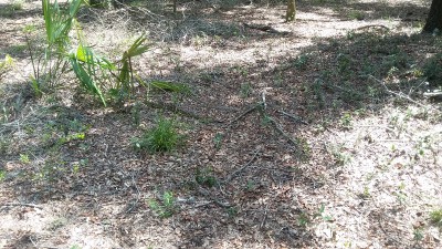 20180620_152021.jpg